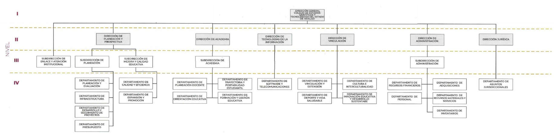 estructura organica cecyteh